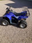 Dinli 100cc Fyrhjuling/ATV