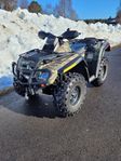 Can Am 650