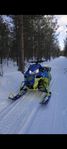 Yamaha Sidewinder 2019 MTX