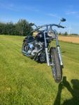 Harley Davidson softail