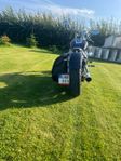 Harley Davidson softail