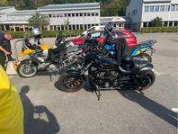 harley-davidson night rod special