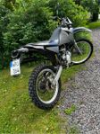 reiju drac rr 2006