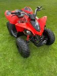 Can-am DS 90