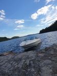 Sea Ray 200 CC 