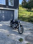 Yamaha xvs 1100 