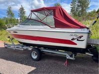 Sea Ray 230 cc daycruiser