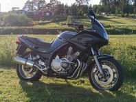 Yamaha XJ900S Diversion, bytes