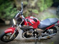 Moto Guzzi Breva 750 ie - Superfin!