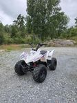 ATV mini ten7 dirtmaster 90cc