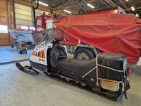 skidoo elan