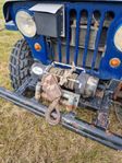 Valp/Willys