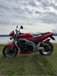 Triumph Speed Trippel 955i