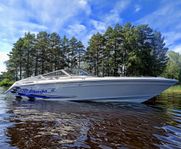Sea Ray Pachanga 22