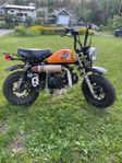 Monkeybike