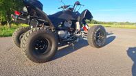 SMC Wildcat 500cc 