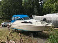 Sea Ray Renoveringsobjekt + motor/drev