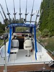 Ryds Bigfish610