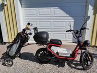 Viarelli City 1000 Elmoped