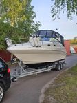 Sea ray 240 Sundancer-98 (80 trailer)