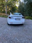 Tesla Model 3 Performance
