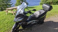 Kawasaki J300