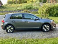 Volkswagen E-Golf  35,8 kWh Navi CarPlay