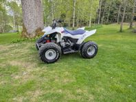 Suzuki Quadsport z90
