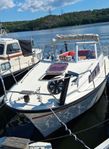 ALBIN 23, mkt nytt/bytt MOTOR-210 gångtimmar, ev BÅTPLATS