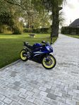 Yamaha R6