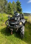 Can-Am 650 Max PRO