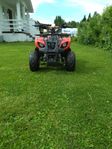 Atv pro worker 