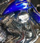 Harley Davidson Softail Springer CVO