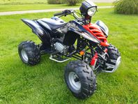 Shineray XY200ST II