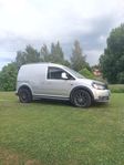 Volkswagen Caddy Cross (Hundbil)