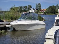 Sea ray 215 EC med trailer