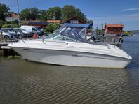 Sea ray 215 EC med trailer