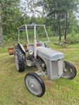 Massey Ferguson TEA 20B "Grålle" — 1953 