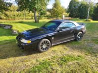Ford Mustang GT Convertible GT