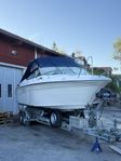 Searay 220 OV