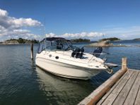 Sea Ray Sundancer 260/275 -01