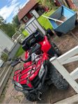 Cforce 520s