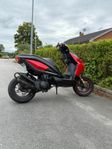 BENELLI 49X super fin