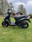 Moped MotoCr T-Rex