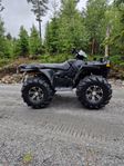 POLARIS SPORTSMAN 800 EF 