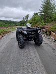 POLARIS SPORTSMAN 800 EF 
