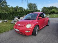 Vw Beetle