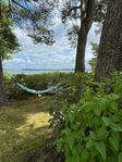 Sommarboende precis vid havet på Almö Camping