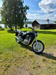 Suzuki VX 800
