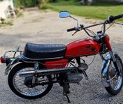 DBS Panter Cross